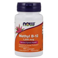 Now Foods Methyl B12 1000 mg